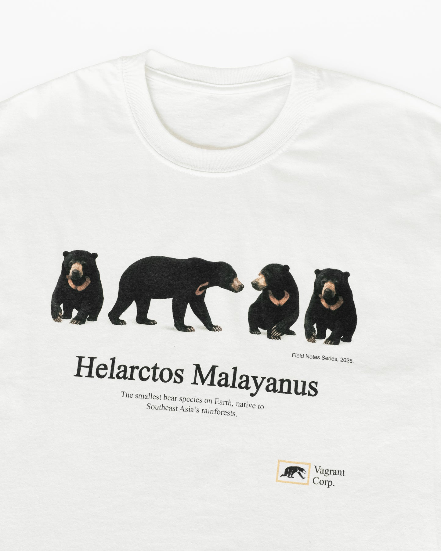 Vagrant Sun Bear Tee